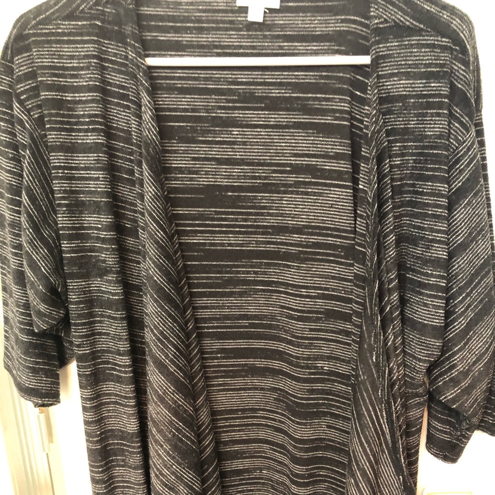 LLR Shirley